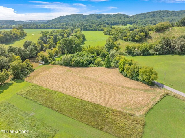 654 Martin Mill Pike, Rockford, TN 37853 - photo 7
