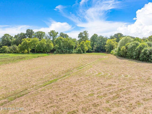654 Martin Mill Pike, Rockford, TN 37853 - photo 13