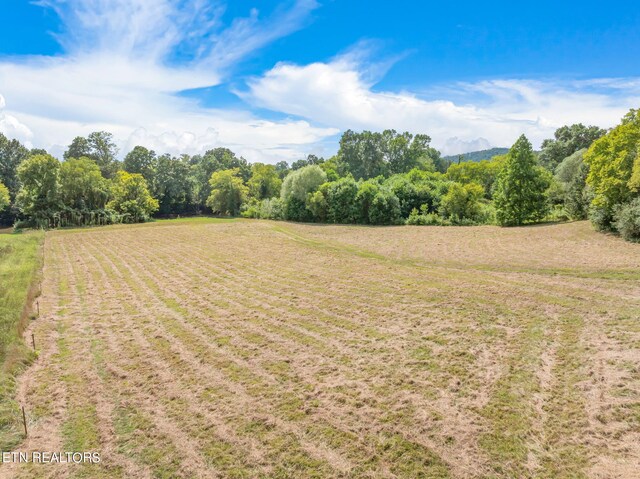 654 Martin Mill Pike, Rockford, TN 37853 - photo 14