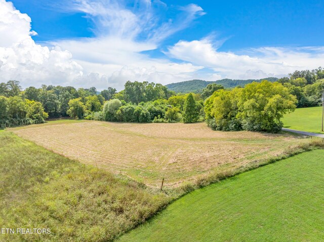 654 Martin Mill Pike, Rockford, TN 37853 - photo 15