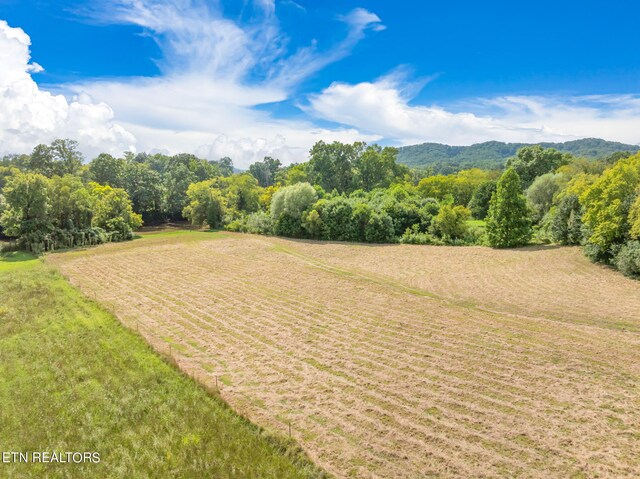 654 Martin Mill Pike, Rockford, TN 37853 - photo 16