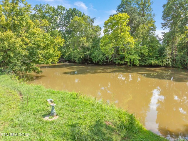 654 Martin Mill Pike, Rockford, TN 37853 - photo 19