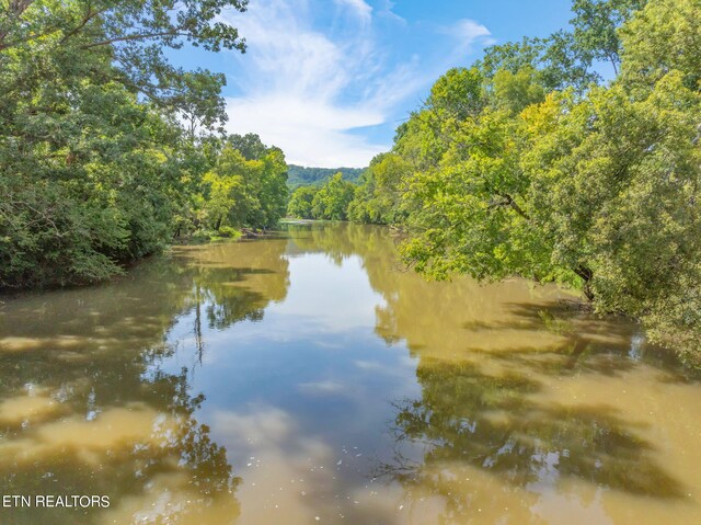 654 Martin Mill Pike, Rockford, TN 37853 - photo 21