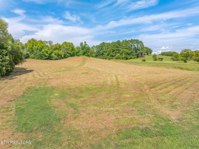 654 Martin Mill Pike, Rockford, TN 37853 - photo 23