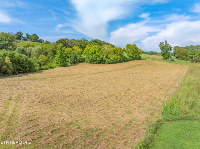 654 Martin Mill Pike, Rockford, TN 37853 - photo 24