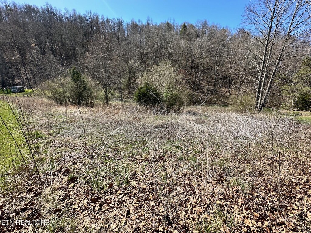 Perilla Rd, Cosby, TN 37722