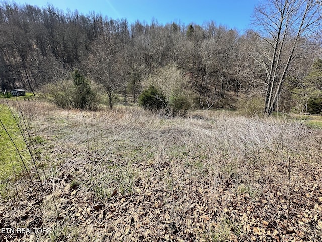 Perilla Rd, Cosby, TN 37722