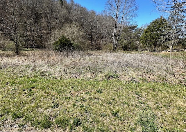 Listing photo 2 for Perilla Rd, Cosby TN 37722