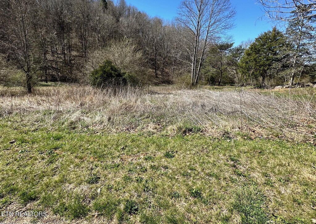 Perilla Rd, Cosby, TN 37722