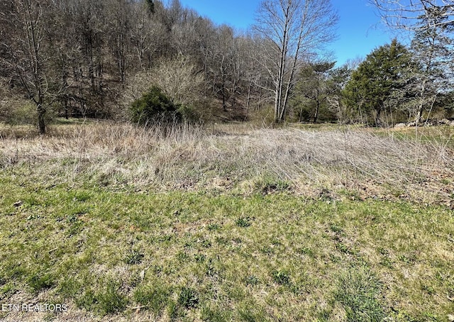 Perilla Rd, Cosby, TN 37722