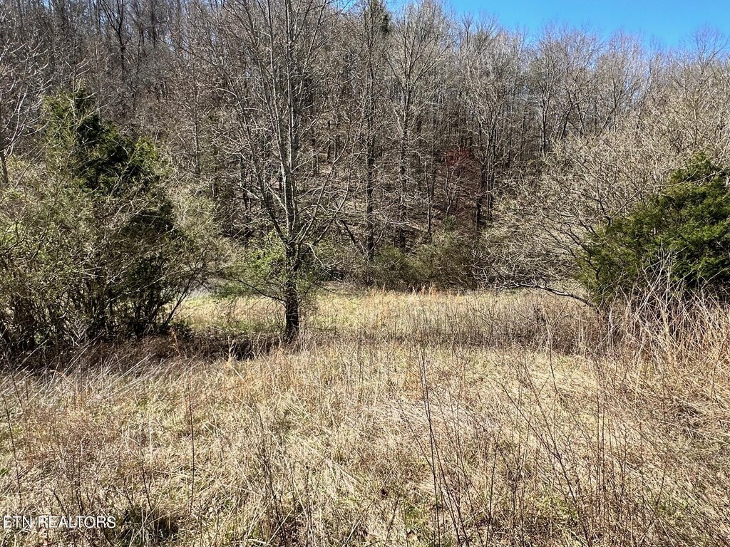 Perilla Rd, Cosby, TN 37722