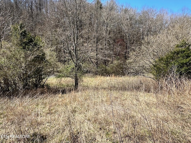 Perilla Rd, Cosby, TN 37722