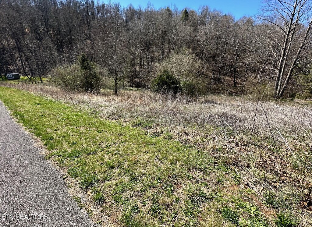 Perilla Rd, Cosby, TN 37722