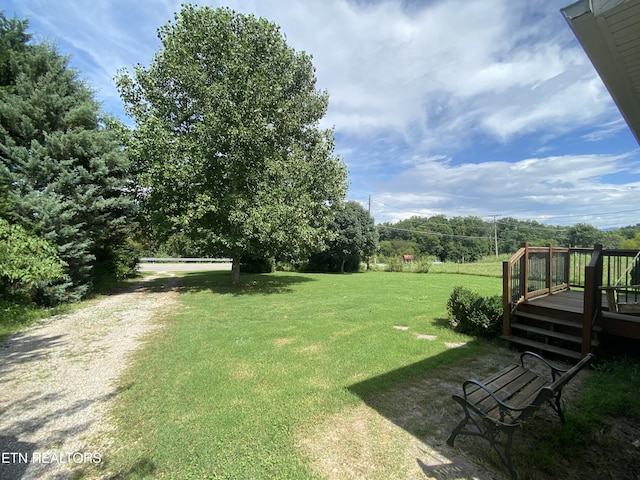 view of yard featuring a deck