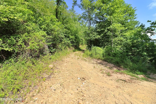 Listing photo 3 for Mt View Rd, Robbins TN 37852