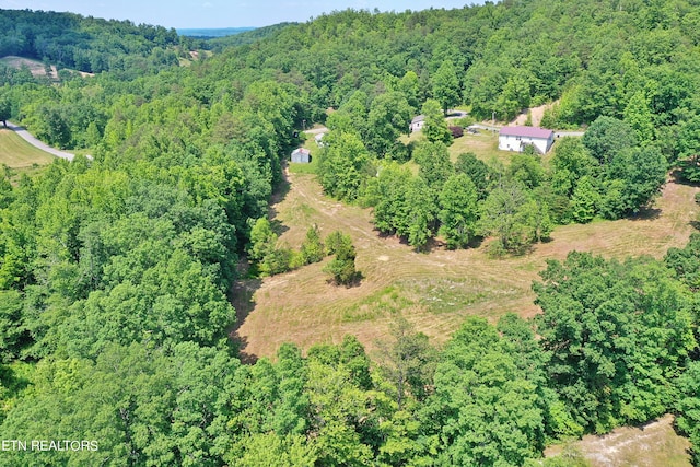aerial view with a forest view