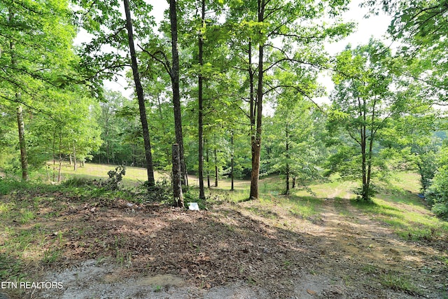 view of local wilderness with a view of trees