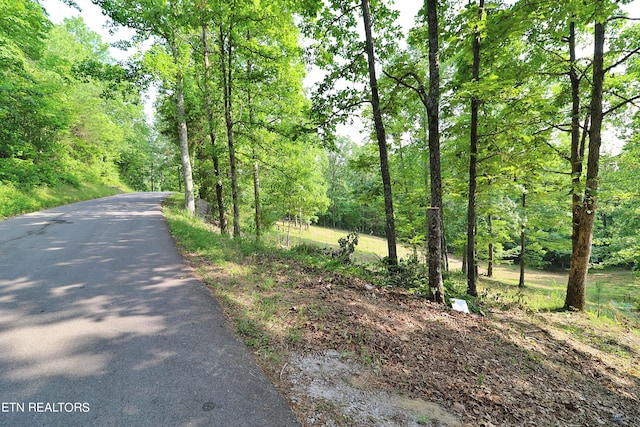 view of street with a view of trees