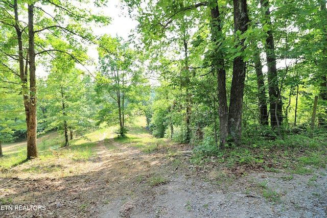 view of local wilderness