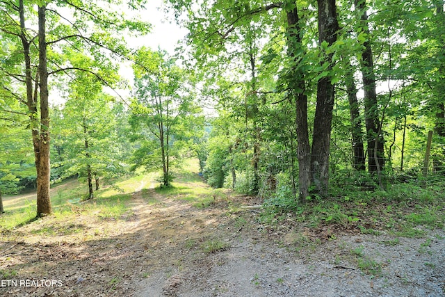 view of local wilderness featuring a wooded view