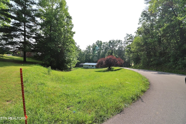 view of home's community with a yard