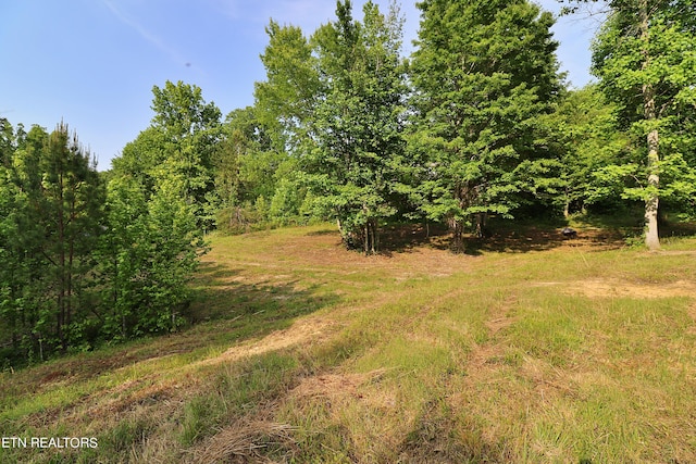 view of nature