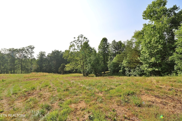 view of local wilderness