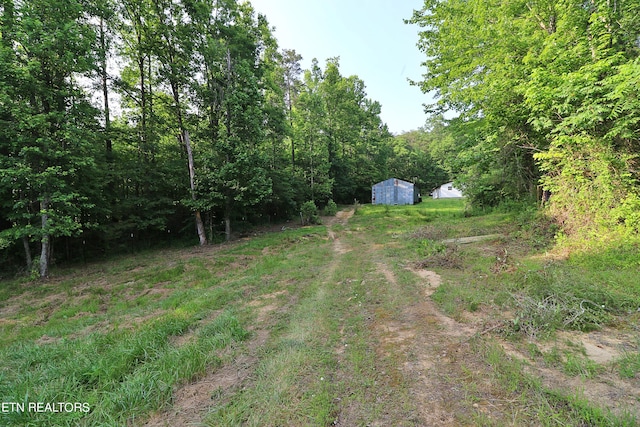 view of yard featuring an outbuilding and a forest view