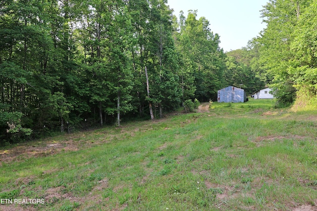 view of yard featuring a forest view