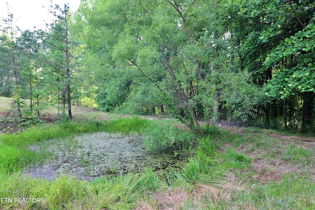 view of local wilderness featuring a water view