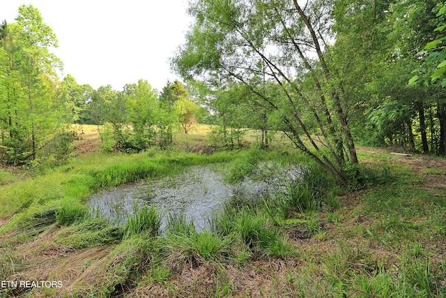 view of water feature