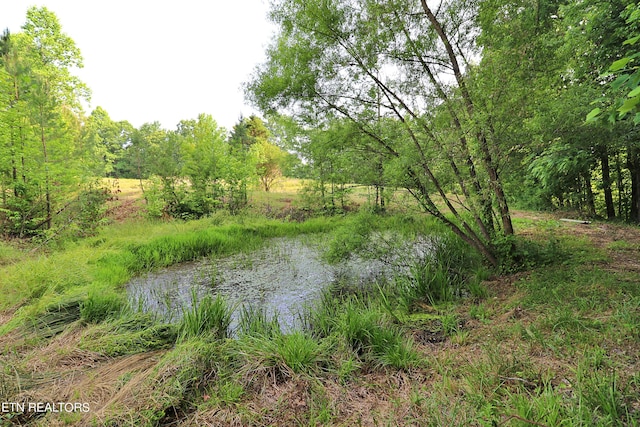 view of local wilderness with a forest view