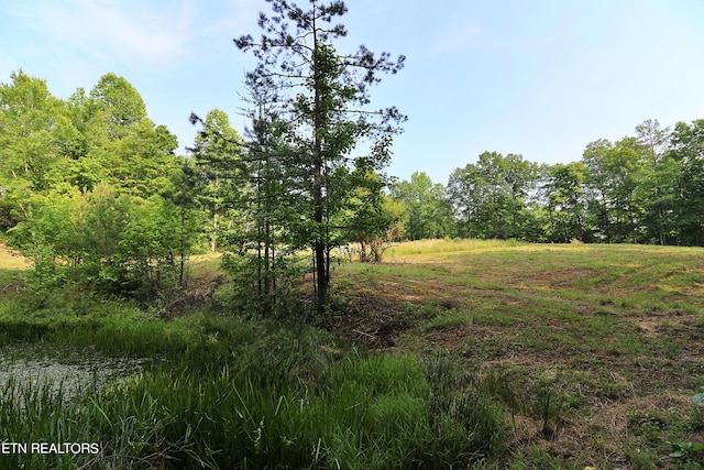 view of nature