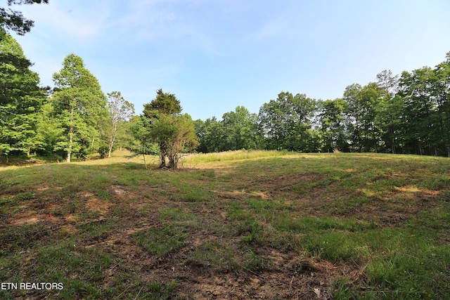 view of landscape with a rural view