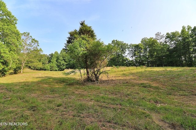 view of yard with a rural view