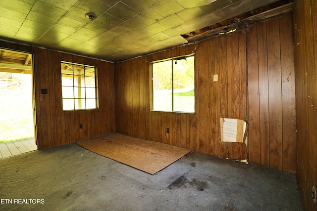empty room with a healthy amount of sunlight and wooden walls