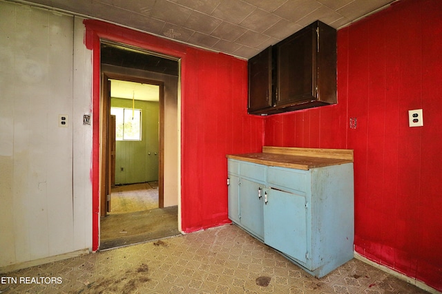 kitchen with wooden walls