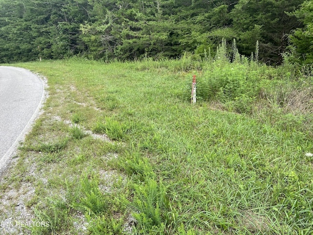 Listing photo 2 for 4.6AC Coal Rd, Jamestown TN 38556