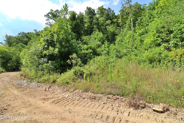 Mt View Rd, Robbins, TN 37852