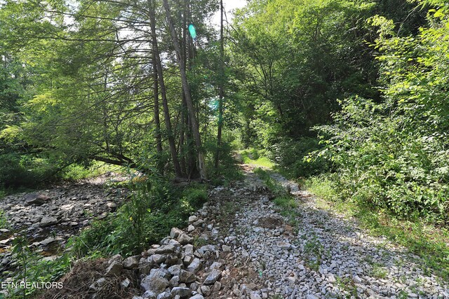 Mt View Rd, Robbins, TN 37852