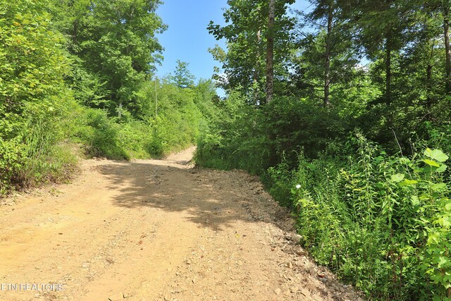 Mt View Rd, Robbins, TN 37852