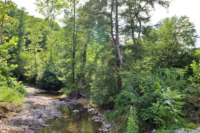 Mt View Rd, Robbins, TN 37852