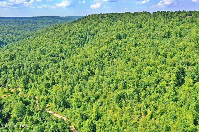Mt View Rd, Robbins, TN 37852