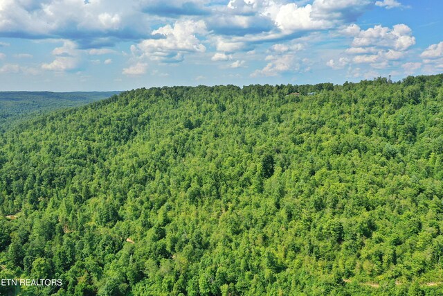 Mt View Rd, Robbins, TN 37852