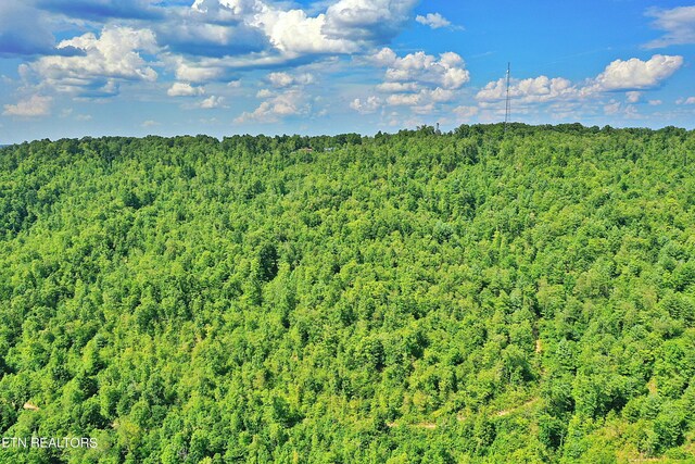 Mt View Rd, Robbins, TN 37852
