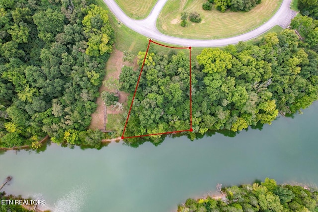 2054 Turners Landing Rd, Russellville TN, 37860 land for sale