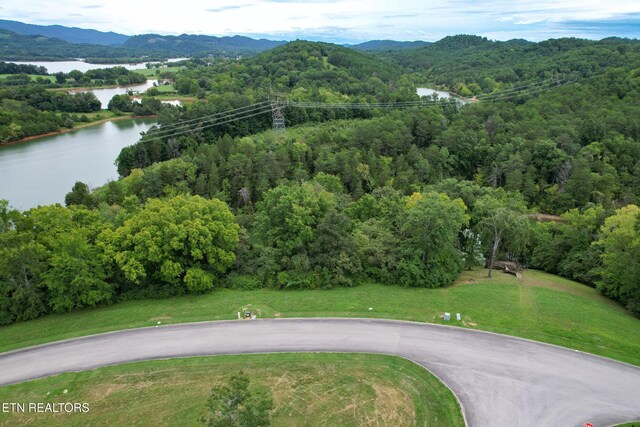 2054 Turners Landing Rd, Russellville, TN 37860