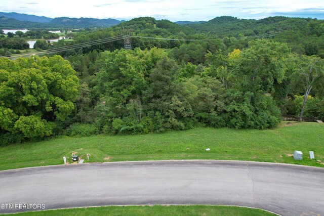 2054 Turners Landing Rd, Russellville, TN 37860