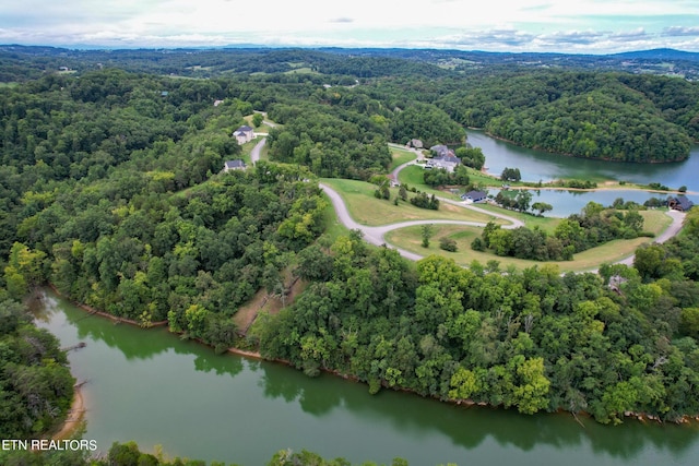 2054 Turners Landing Rd, Russellville, TN 37860