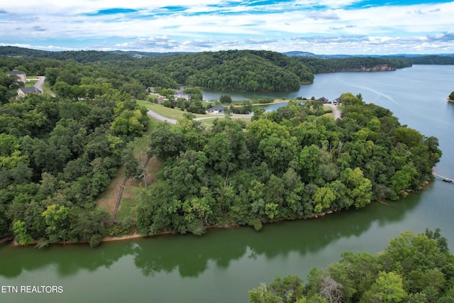 Listing photo 3 for 2054 Turners Landing Rd, Russellville TN 37860